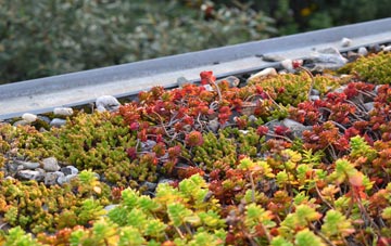 the cost of Tughall green roof installation