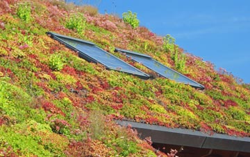 Tughall living roof systems